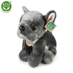 RAPPA Maskotka pluszowa Buldog francuski  szary 30cm.