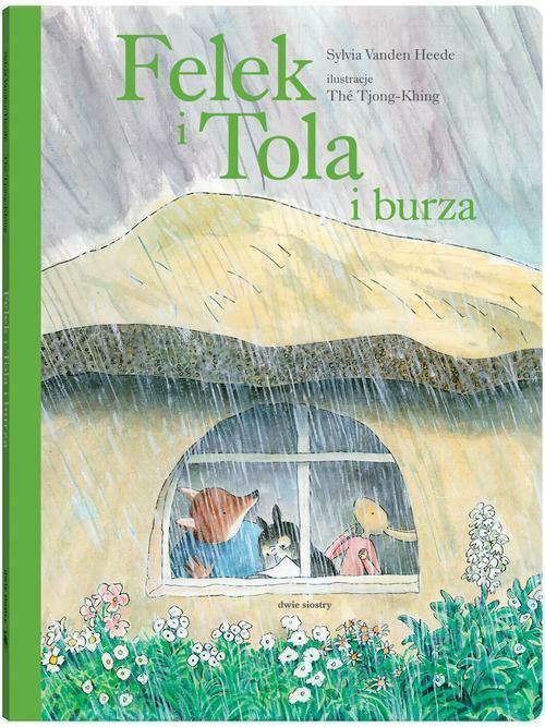 DWIE SIOSTRY Książka Felek i Tola i burza DWIE SIOSTRY Książka Felek i Tola i burza