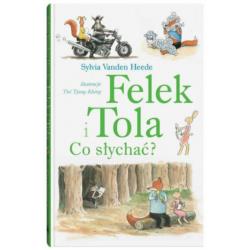 DWIE SIOSTRY Książka Felek i Tola Do      zobaczenia