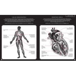 DWIE SIOSTRY Książka Gabinet Anatomii