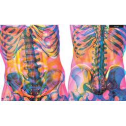 DWIE SIOSTRY Książka Gabinet Anatomii