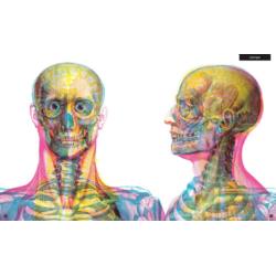 DWIE SIOSTRY Książka Gabinet Anatomii