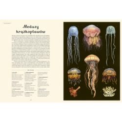 DWIE SIOSTRY Oceanarium - Muzeum Oceanu